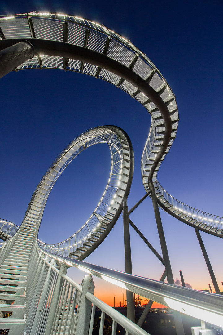 Tiger & Turtle