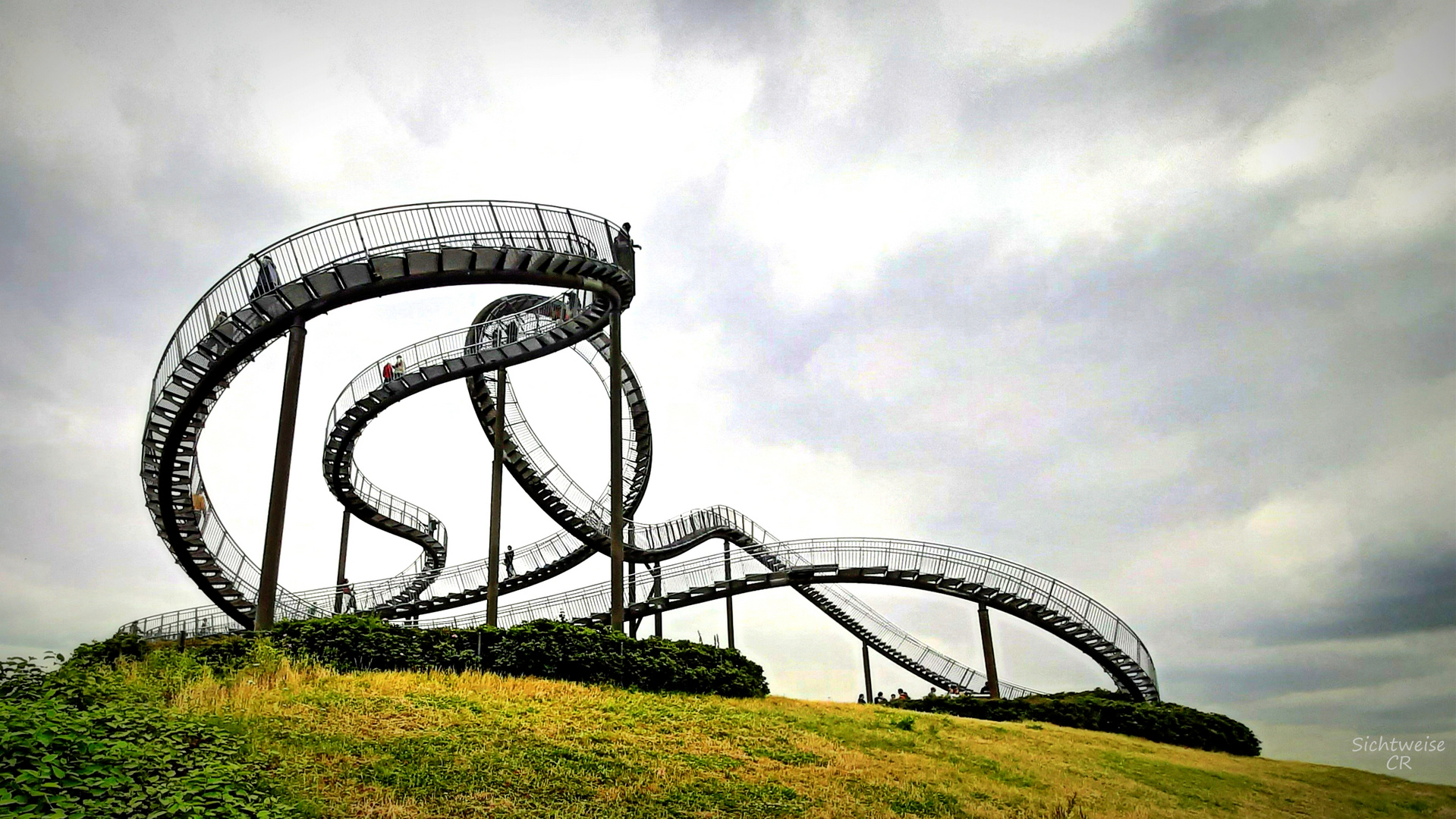 Tiger & Turtle