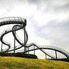 Tiger & Turtle