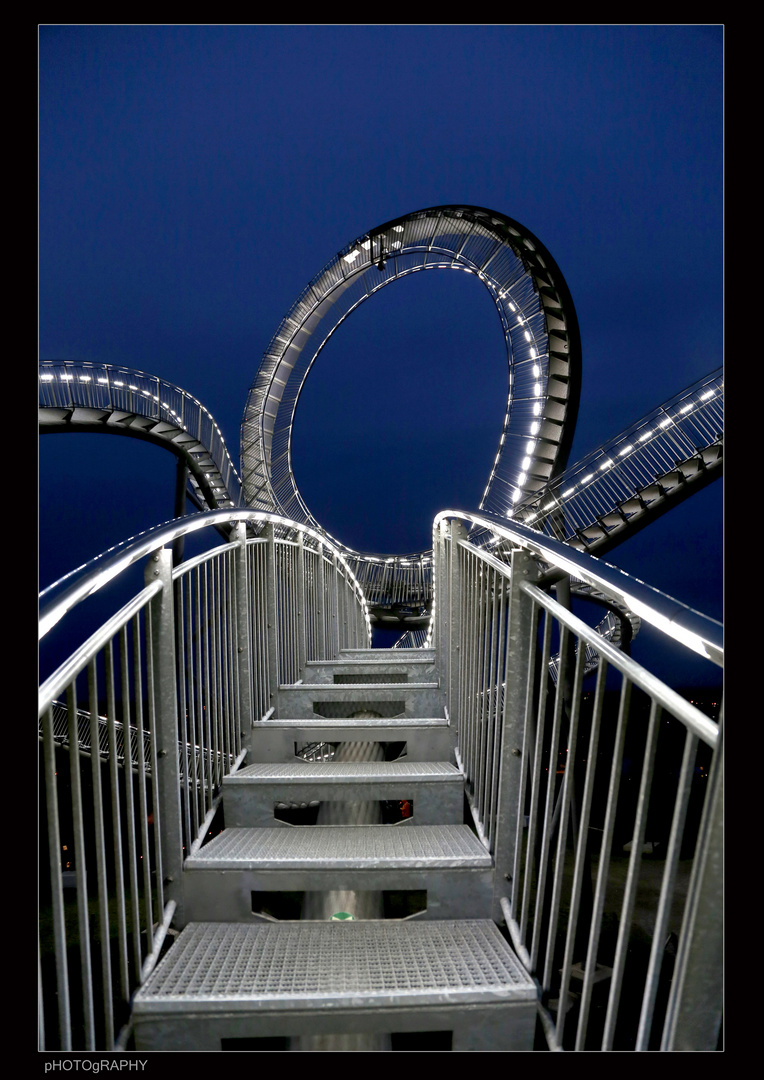 Tiger & Turtle