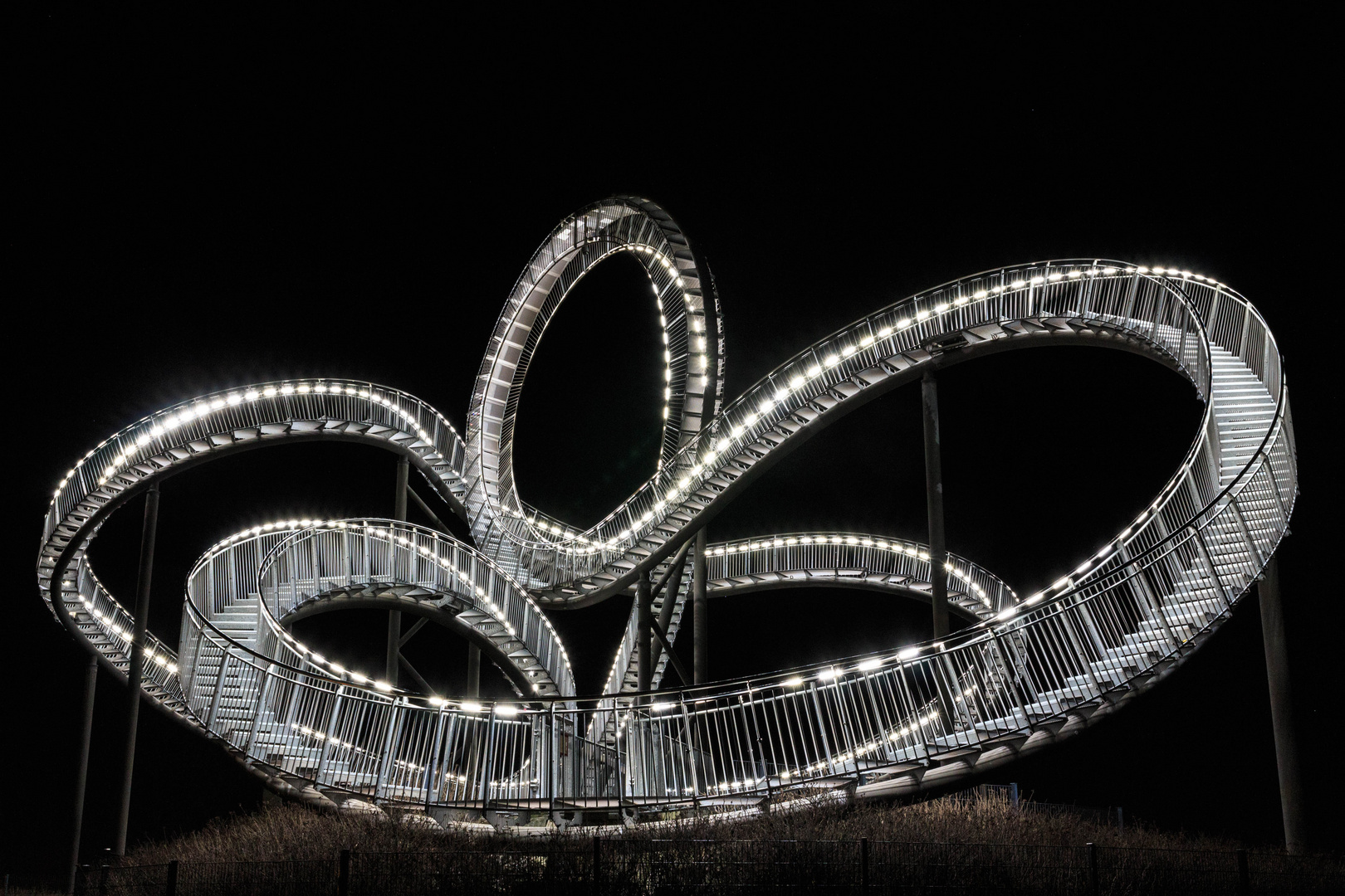 Tiger & Turtle