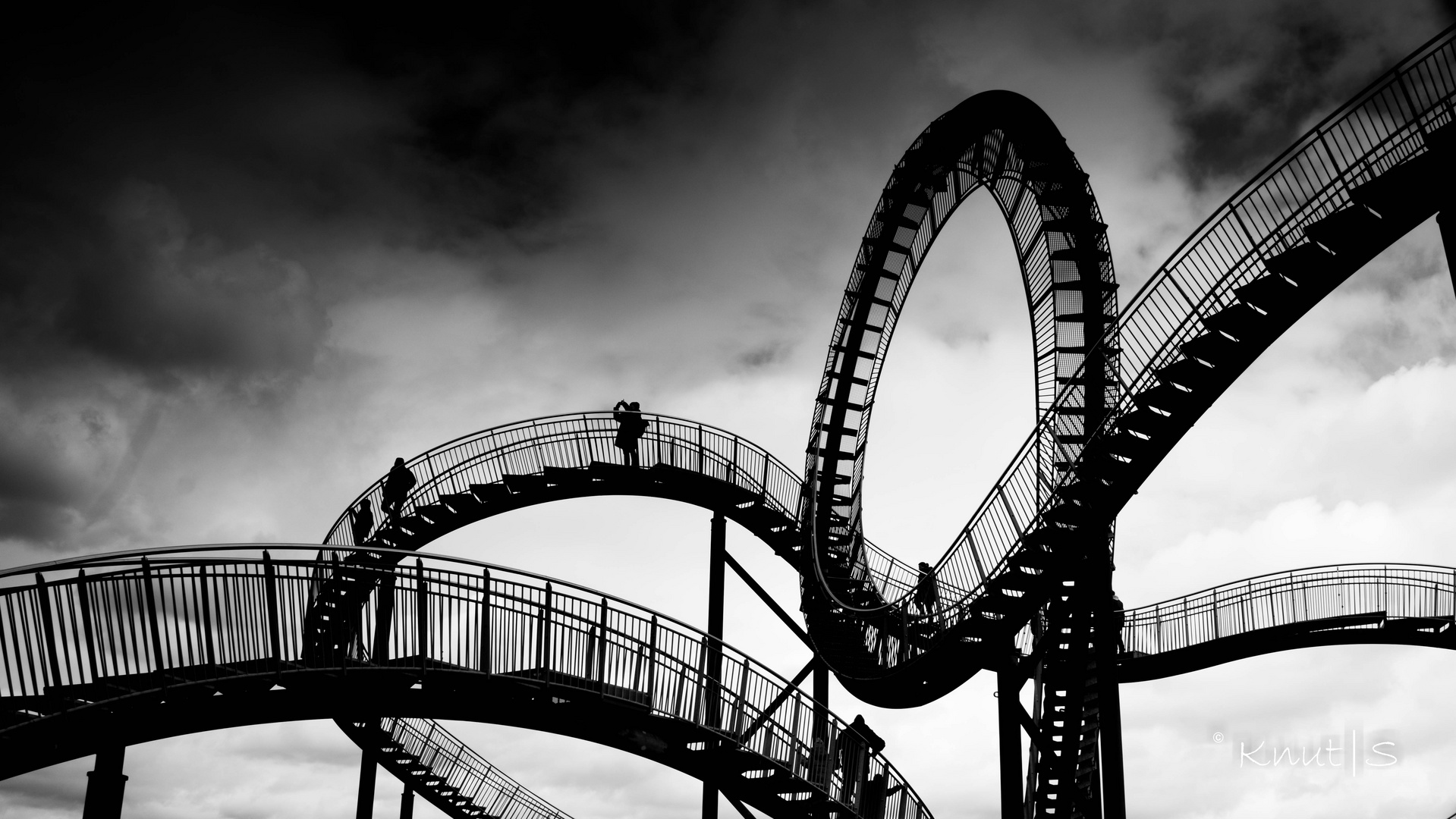 Tiger &Turtle