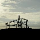 Tiger & Turtle