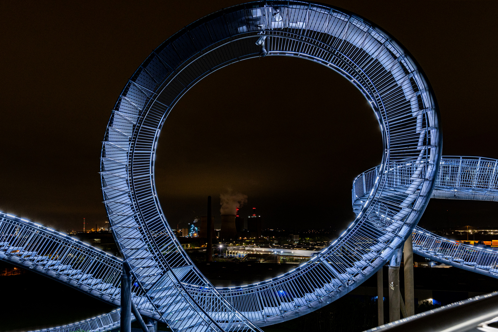 Tiger & turtle