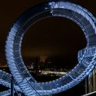 Tiger & turtle