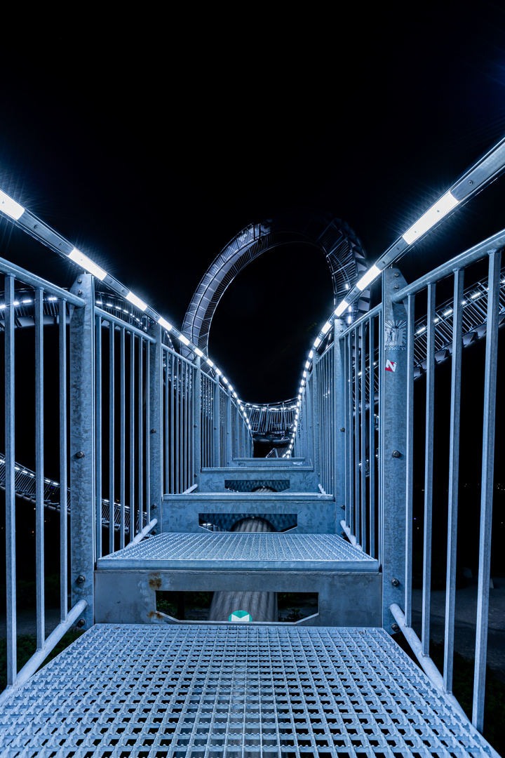 Tiger & turtle