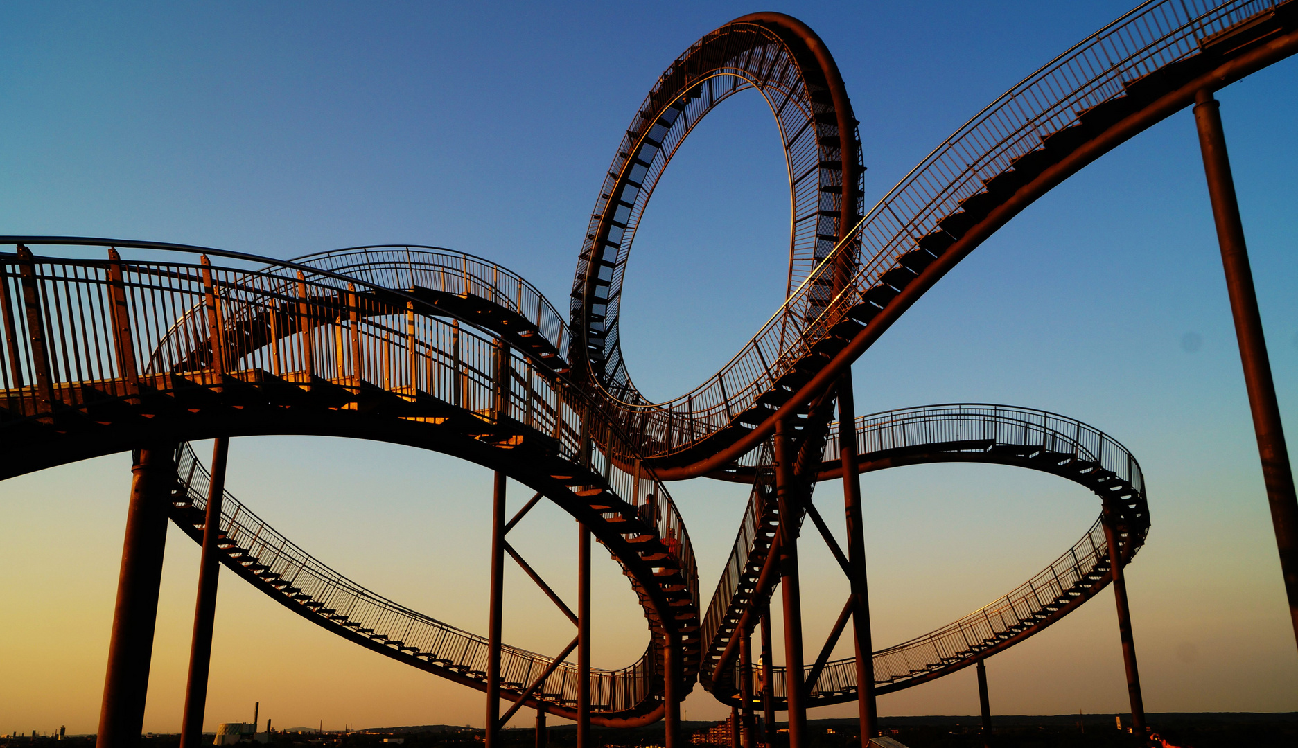 Tiger &Turtle 1