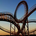 Tiger &Turtle 1