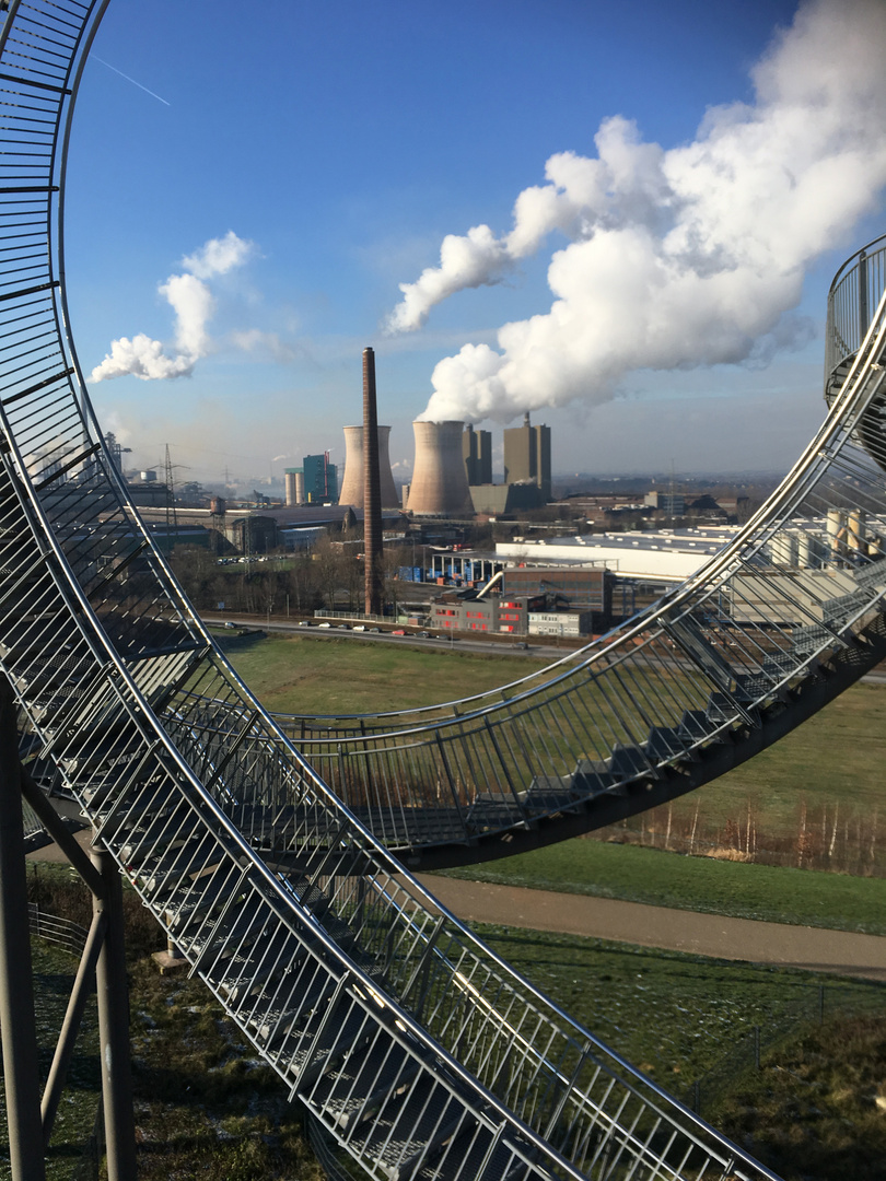 Tiger & Turtle 1