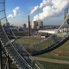 Tiger & Turtle 1