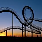 Tiger & Turtle 1