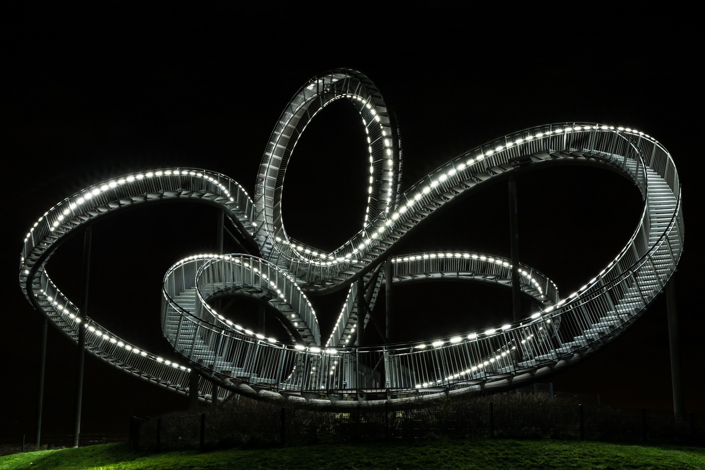 Tiger & Turtle 1