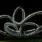 Tiger & Turtle 1