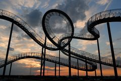 Tiger & Turtle (1)