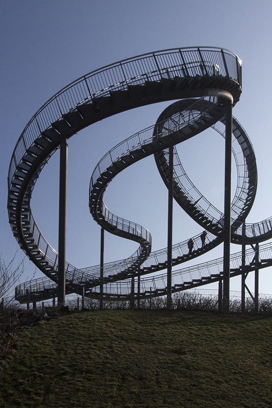 Tiger & Turtle 1