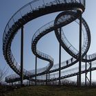 Tiger & Turtle 1