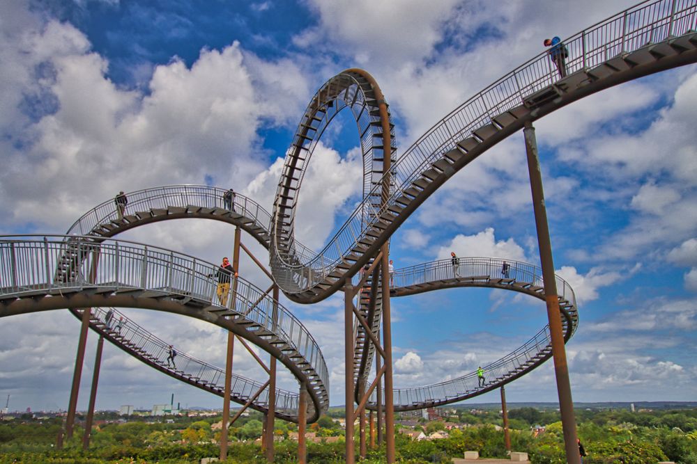 Tiger & Turtle 1