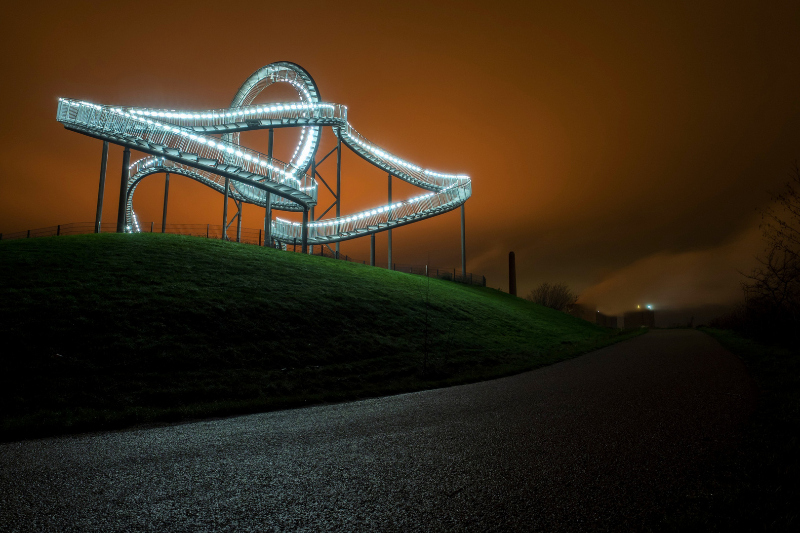 Tiger & Turtle 1