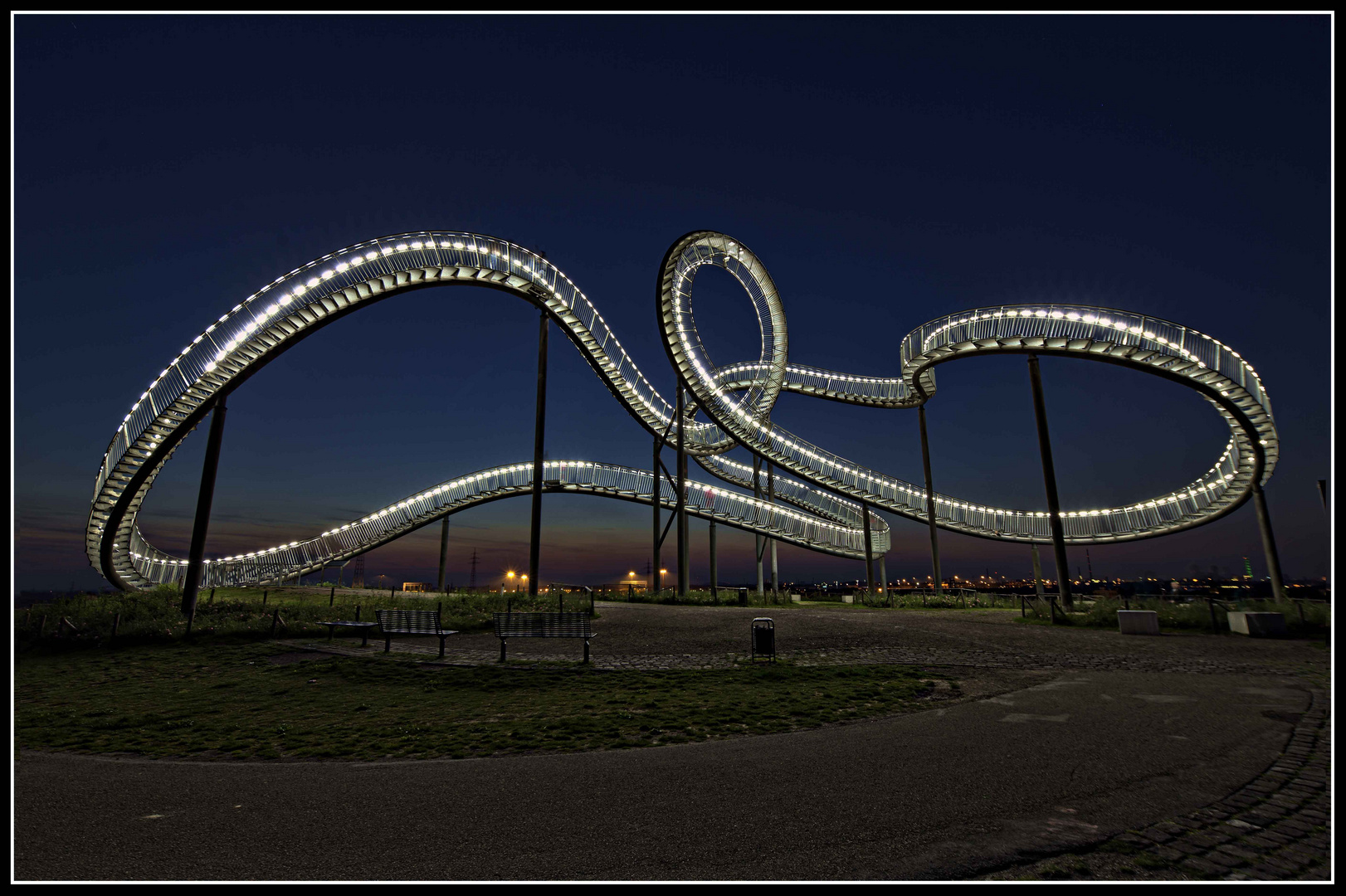 Tiger & Turtle 1