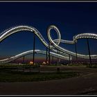 Tiger & Turtle 1