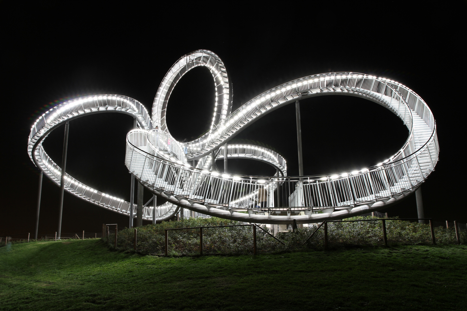 Tiger & Turtle 1