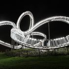 Tiger & Turtle 1