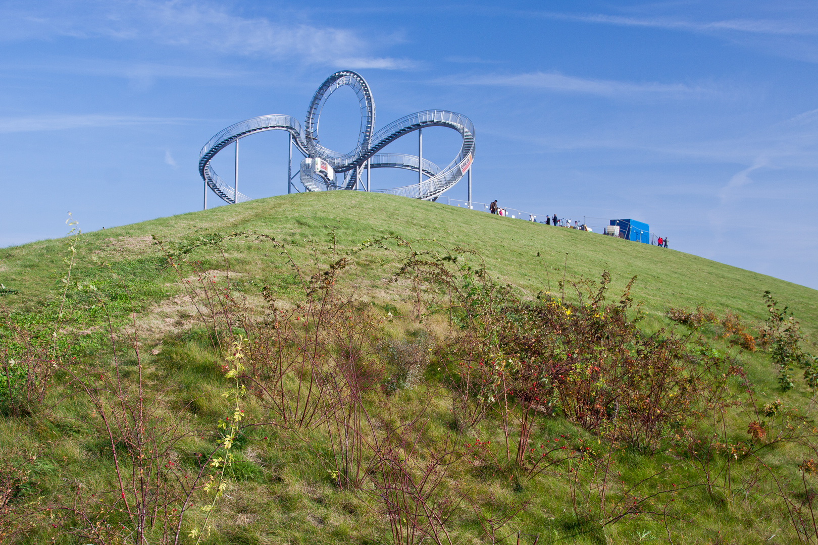 Tiger & Turtle (1)