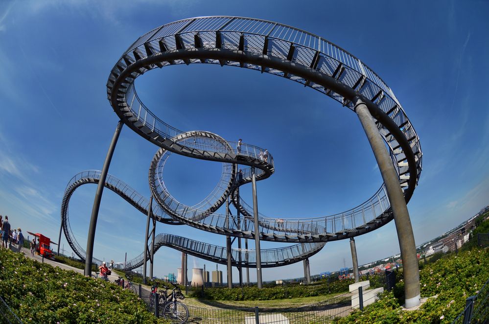 Tiger & Turtle 1