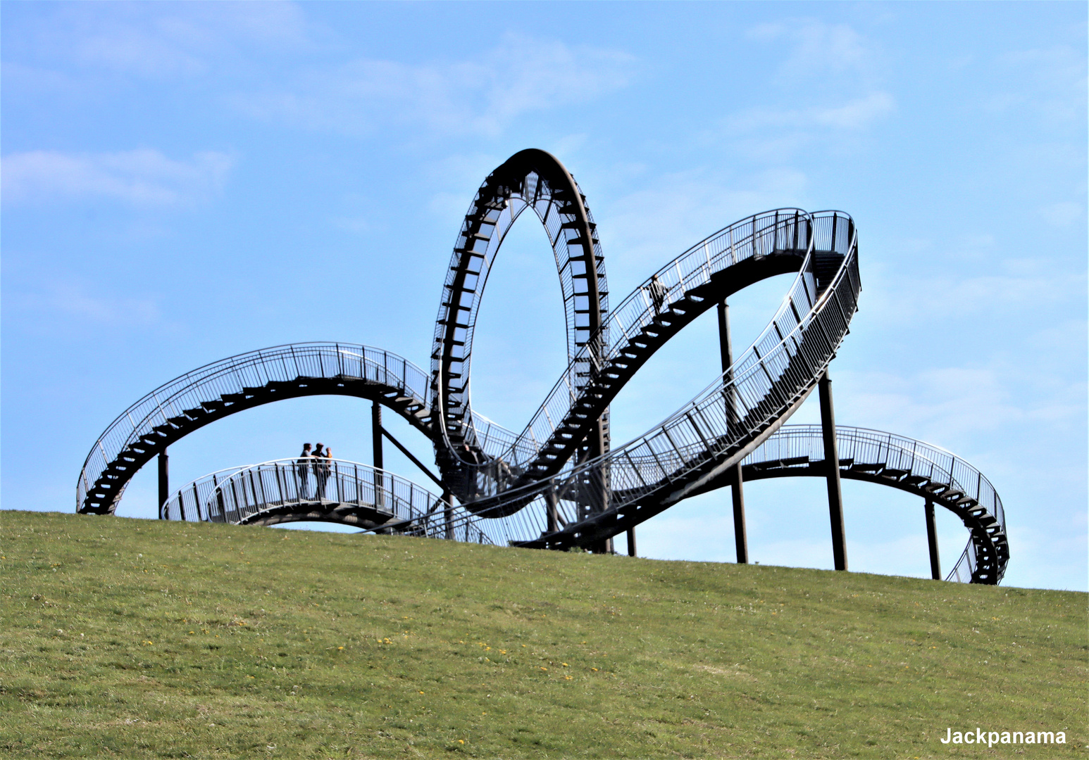 Tiger & Turtle (1)