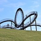 Tiger & Turtle (1)