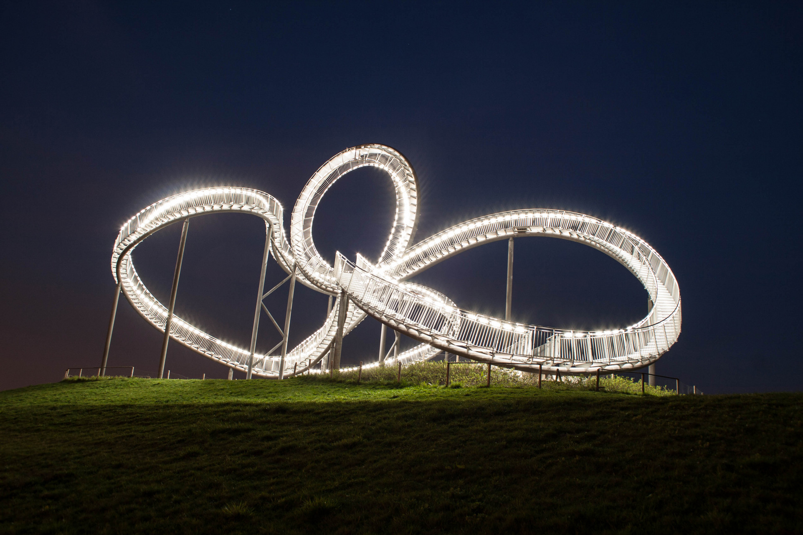 Tiger & Turtle 1