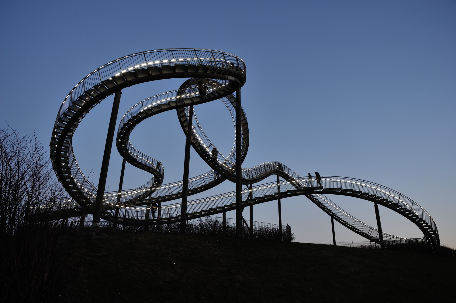 Tiger & Turtle 1