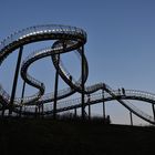 Tiger & Turtle 1