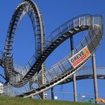 Tiger & Turtle 10