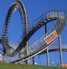 Tiger & Turtle 10