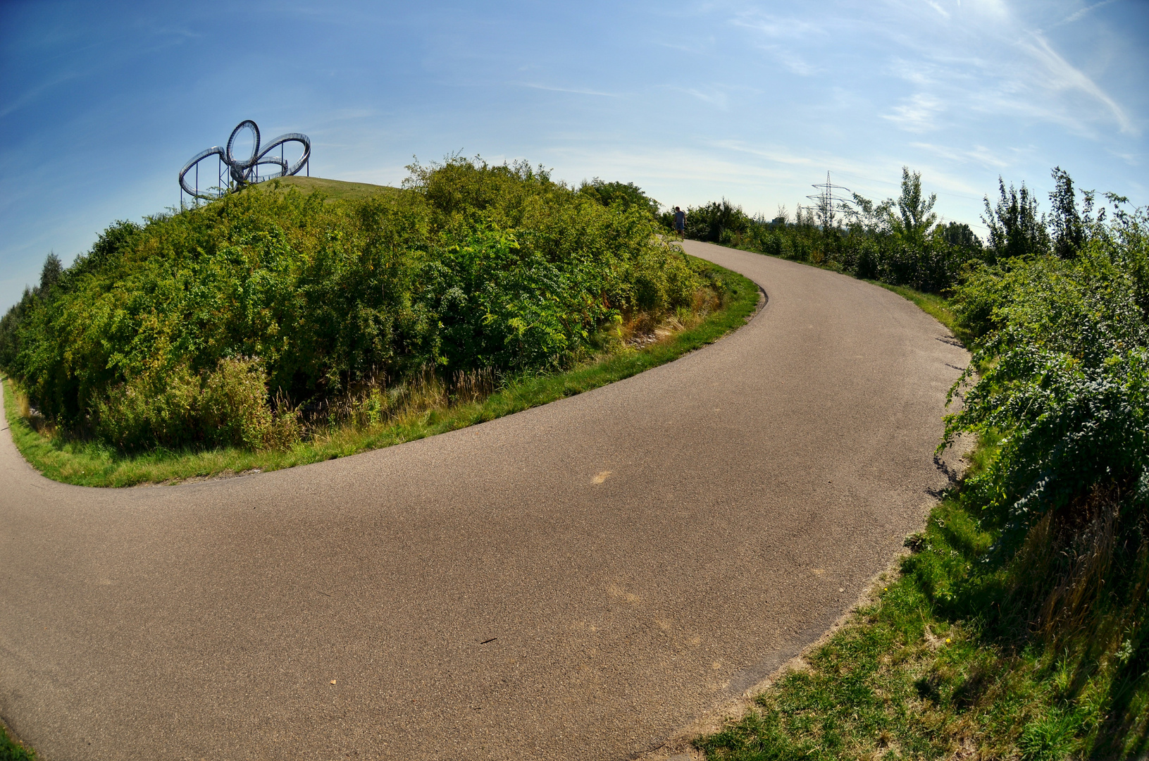 Tiger & Turtle 10