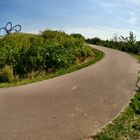 Tiger & Turtle 10