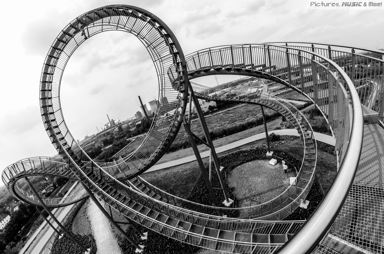 Tiger & Turtle