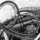 Tiger & Turtle