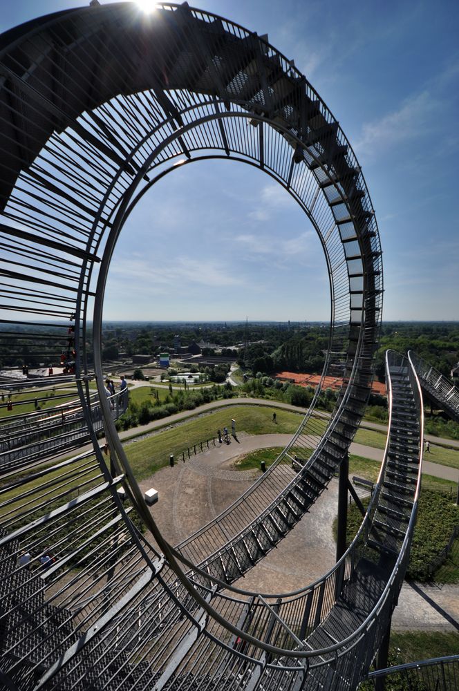 Tiger & Turtle 11