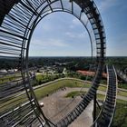 Tiger & Turtle 11