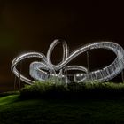 Tiger & turtle