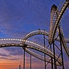 Tiger & Turtle 