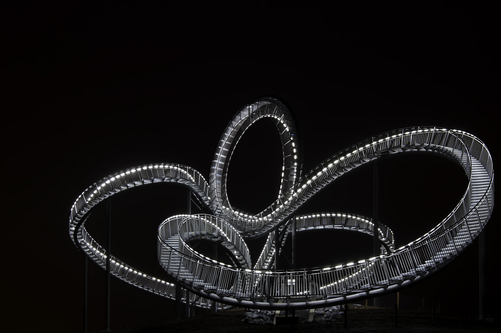 Tiger & Turtle