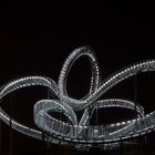 Tiger & Turtle