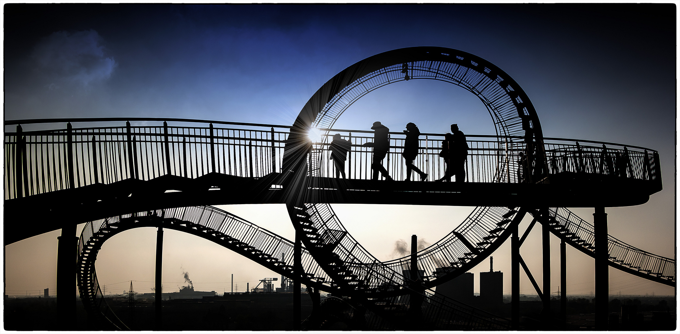 Tiger & Turtle 