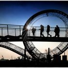 Tiger & Turtle 