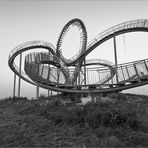 Tiger & Turtle