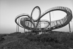 Tiger & Turtle