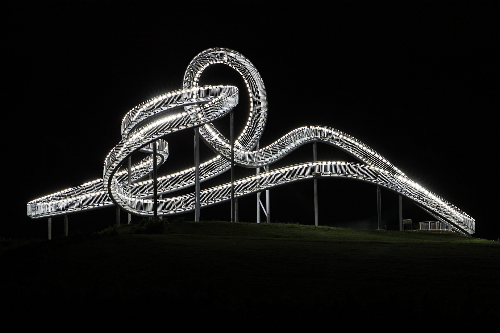 Tiger & Turtle